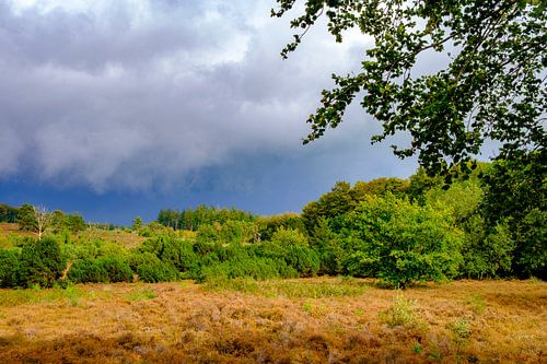 Stormwolken boven heide en bos op de Lemelerberg