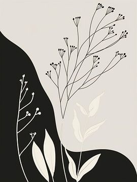 zwart-witte bladeren en planten van haroulita