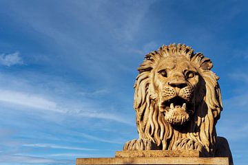 Lion Sculpture of the Szechenyi Chain Bridge Budapest by Andreea Eva Herczegh