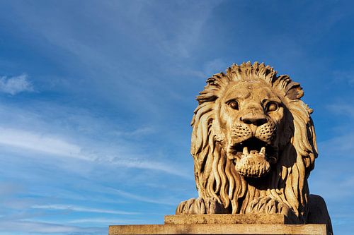 Lion Sculpture of the Szechenyi Chain Bridge Budapest