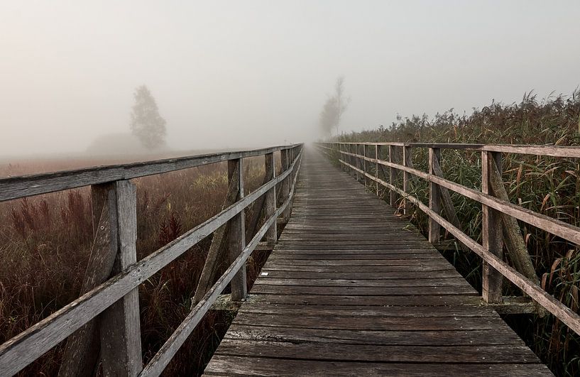 Federseesteg Bad Buchau van Thomas Marx