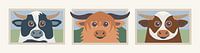 Droe cows