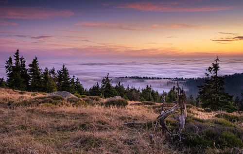 Blue hour in the Harz Mountains