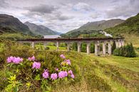 Glenfinnan Viadukt mit Dampflok von Michael Valjak Miniaturansicht