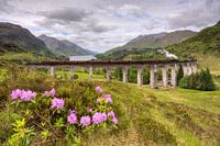 Viaduc de Glenfinnan avec locomotive à vapeur
