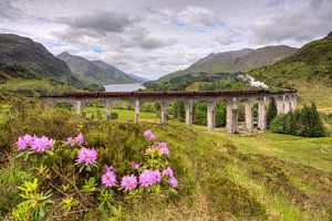 Glenfinnan Viaduct met stoomlocomotief van Michael Valjak