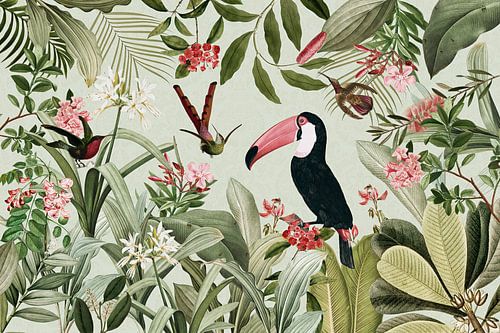 Toucans et colibris exotiques Dans la jungle tropicale