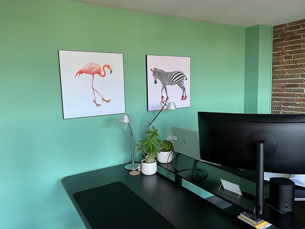 talons zébrés par Jonas Loose