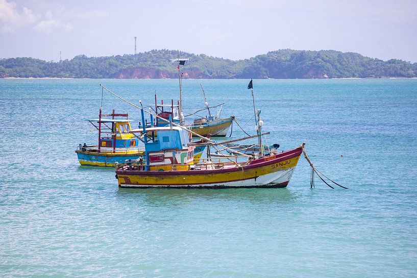 Traditional Fishing Boats in Hikkaduwa Harbour, Sri Lanka - Maritime Wall Decoration by Michiel Ton