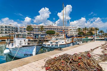 Traditioneel visnet bij de haven van Sa Coma op het eiland Mallorca, Spanje van Alex Winter