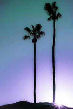 Palmbomen Paarse Lucht van Walljar