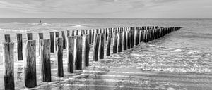 Das Meer, Nordsee, Domburg von Bas Wolfs