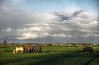 Wolkenparaplu von Mike Bing Miniaturansicht