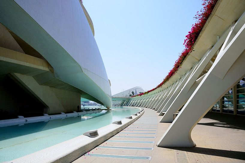 Lines and curves by Frank's Awesome Travels