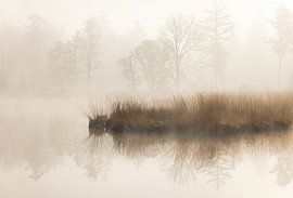 Mist tijdens zonsopkomst Dwingelderveld - Zandveen (Drenthe) Nederland van Marcel Kerdijk