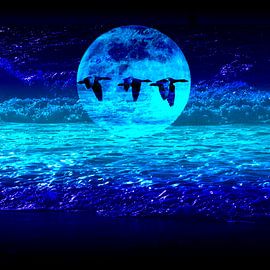 FLUG AUF DER BRANDUNG von Ted van den Aarssen