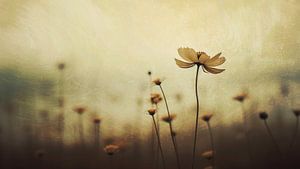 Nostalgic Nature No 1
