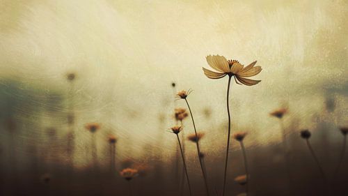 Nostalgic Nature No 1