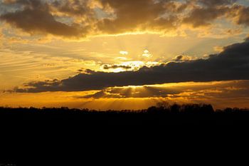 Il pleut des rayons de soleil