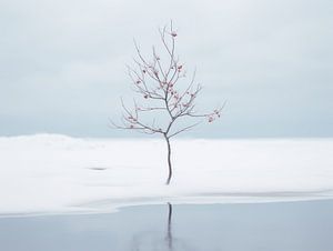 Winter-Minimalismus