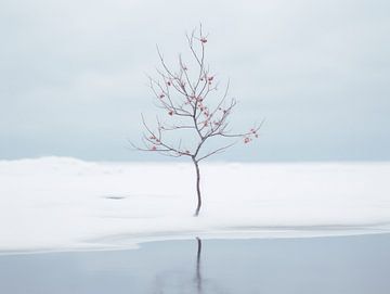 Winterminimalisme van Eva Lee