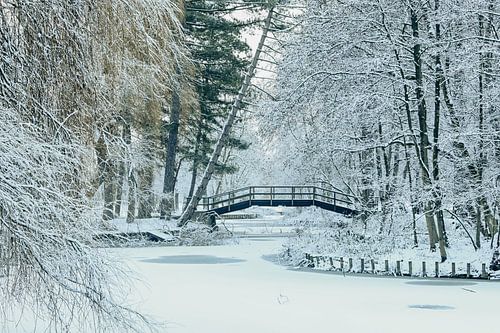 Witte Stilte in het Rivierenhof van Deurne