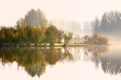 Herbstfarben bei Sonnenaufgang