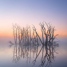The magic of Tusschenwater by Sander van der Werf
