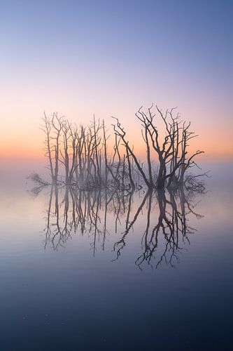 The magic of Tusschenwater by Sander van der Werf