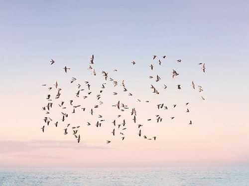 Vlucht bij zonsondergang