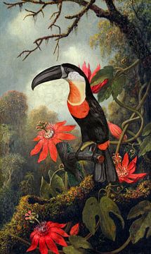 Passionflowers and the Toucan van Marja van den Hurk