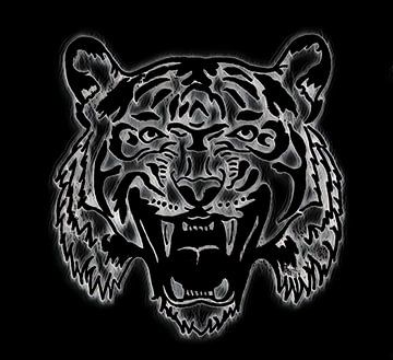 Tiger ( Zeichnung ) von Jose Lok