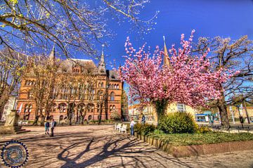 Kischblüten by Martin s