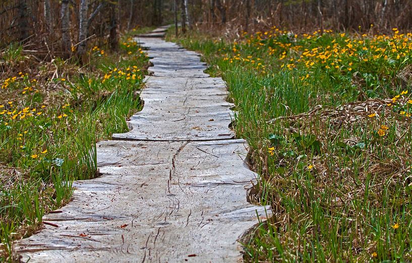The wooden footbridge in the Ramsau by Christa Kramer