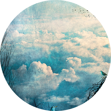 HEMELSE VOGELS III-B3