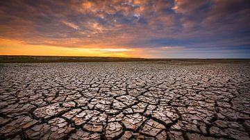 Dürre an der Groninger Wattenküste bei Sonnenuntergang von Bas Meelker