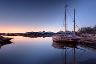 Fischerboot im Morgenlicht, Norwegen von Patricia Dhont Miniaturansicht