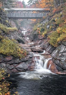 Sentinal Pine Bridge - White Mountains National Forest van Slukusluku batok