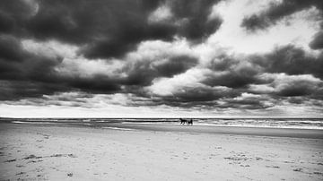 paard sulky op het strand van eric van der eijk