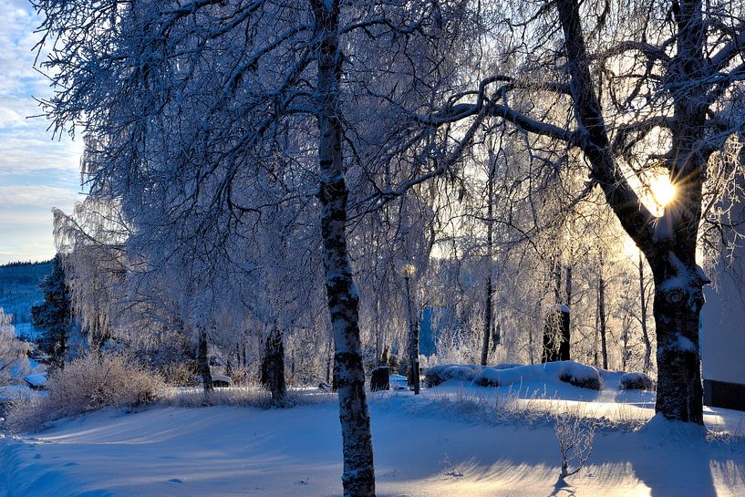 Besneeuwde grafsteen van Christer Andersson