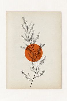 The Simplicity in Nature