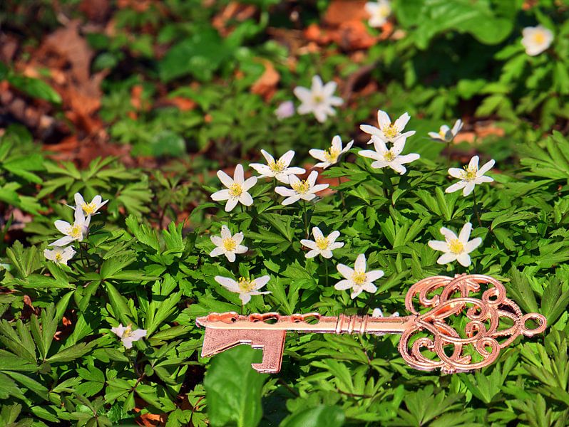 sleutel tot geluk van Edgar Schermaul