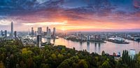Zonsopkomst vanaf de Euromast in Rotterdam.