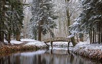Het slochterbos in wintersfeer in de provincie Groningen van Marga Vroom thumbnail