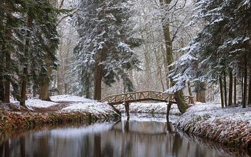 Het slochterbos in wintersfeer in de provincie Groningen van Marga Vroom