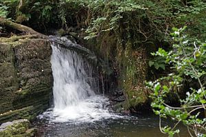 Fowley's Falls in Irland