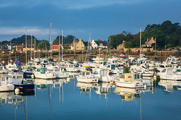 Hafen in der Bretagne in Ploumanach, Frankreich von Rico Ködder