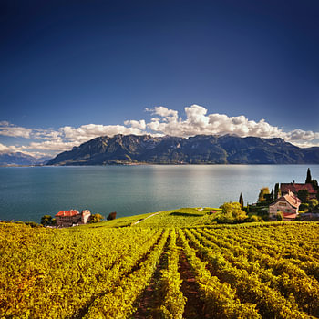 Journée ensoleillée au-dessus du lac Léman et des châteaux de Lavaux
