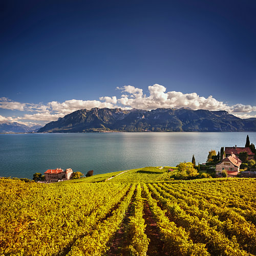 Sunny Day Over Lake Geneva and Lavaux Chateau