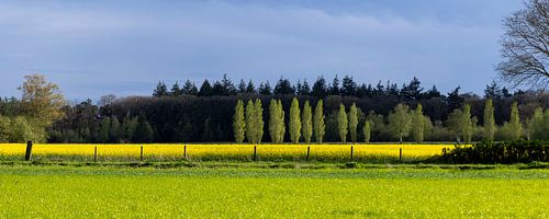 Mooi landschap in Overijssel
